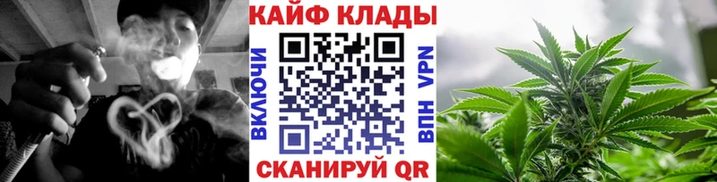 Псилоцибиновые грибы Нестеров