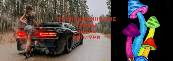 прущая мука Верея