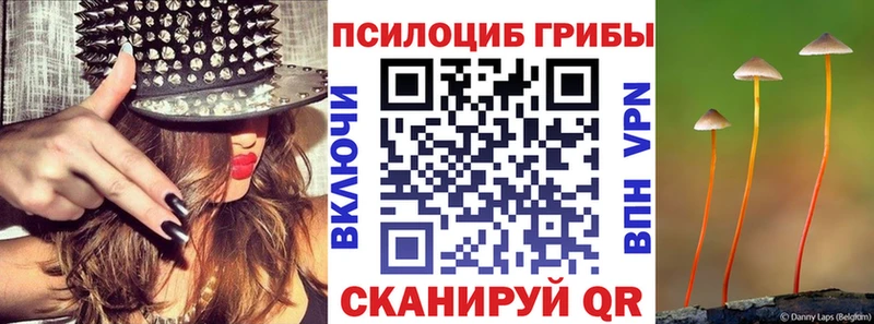 omg ТОР  Нестеров  Псилоцибиновые грибы MAGIC MUSHROOMS 