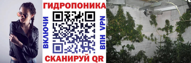 Конопля сатива  Нестеров 